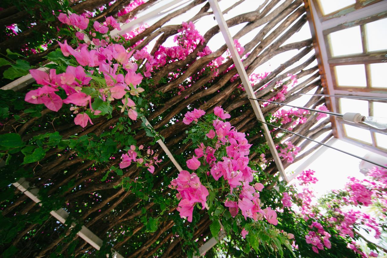 Gorgona Faliraki